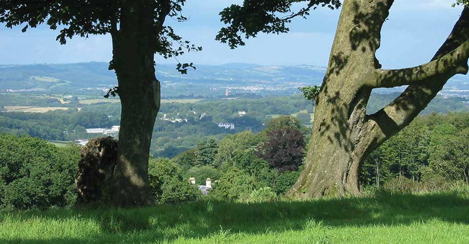 Cardiff & The Vale Burial Ground