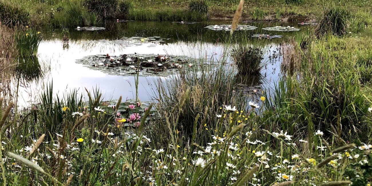 Aylesbury Vale Natural Burial Ground