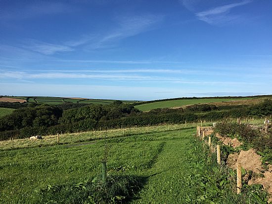 Atlantic Rest Natural Burial