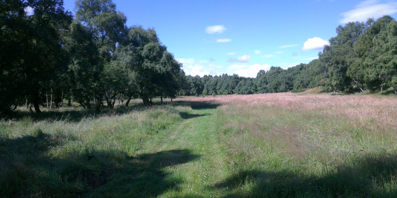 Delliefure Natural Burial Ground