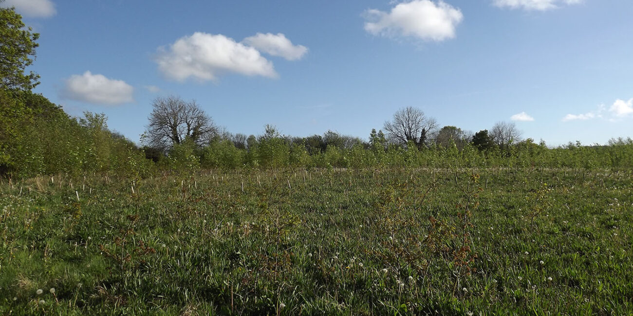 Bargoed Natural Burials