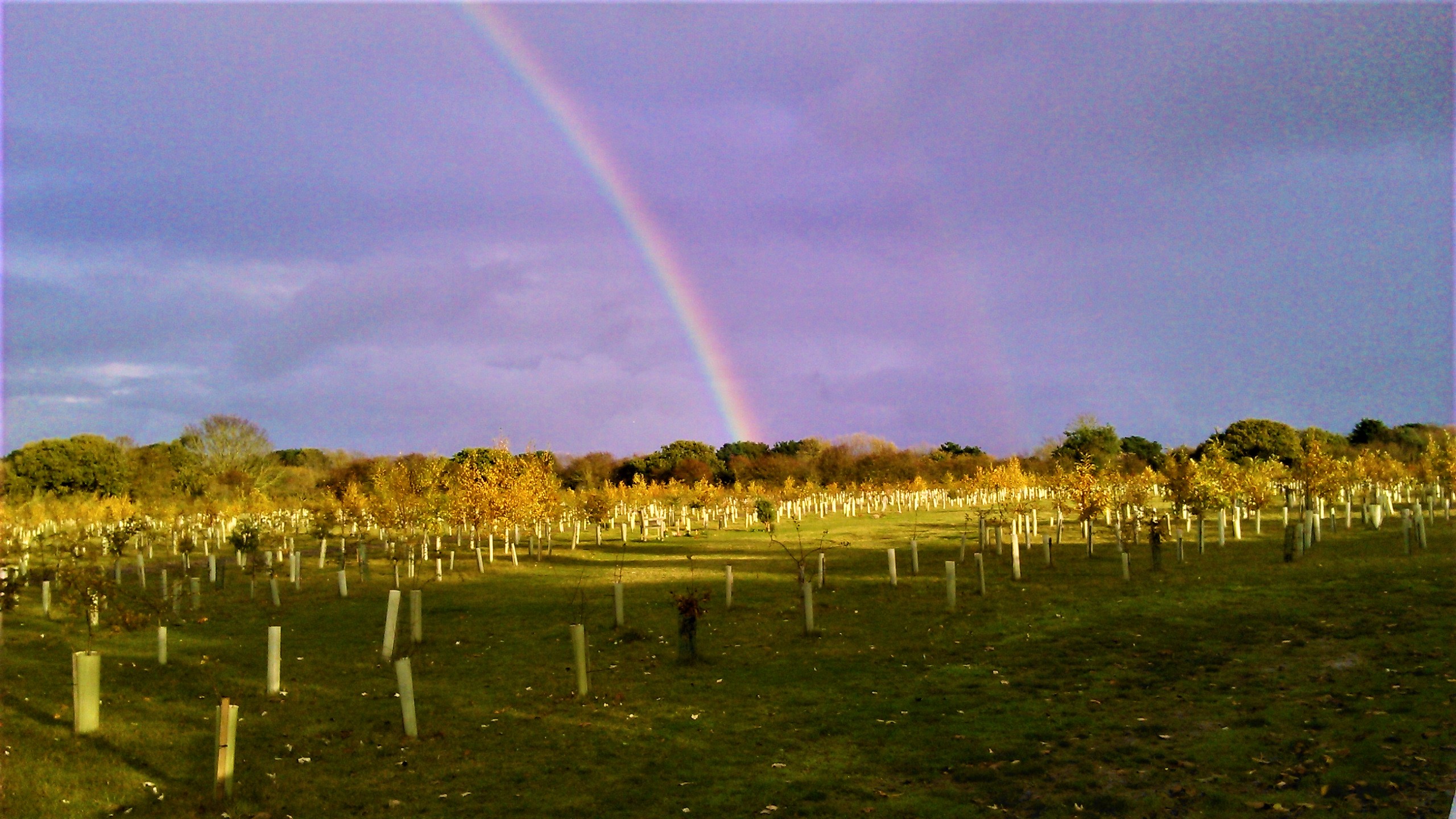 Gunton Woodland Burial Park
