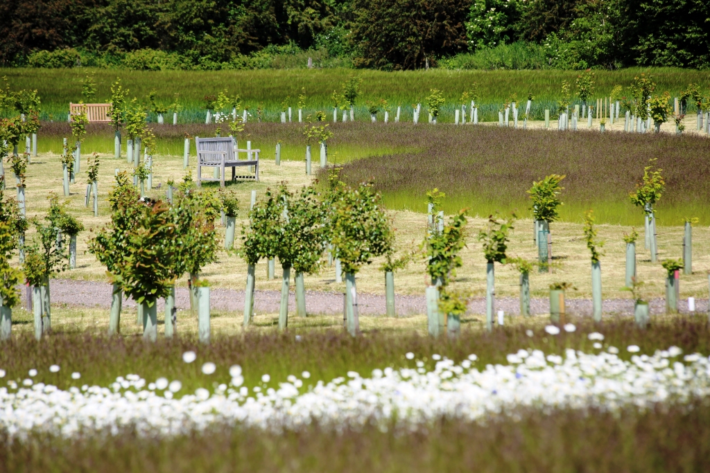 Gunton Woodland burial ground - for Join the Natural Burial Alliance page