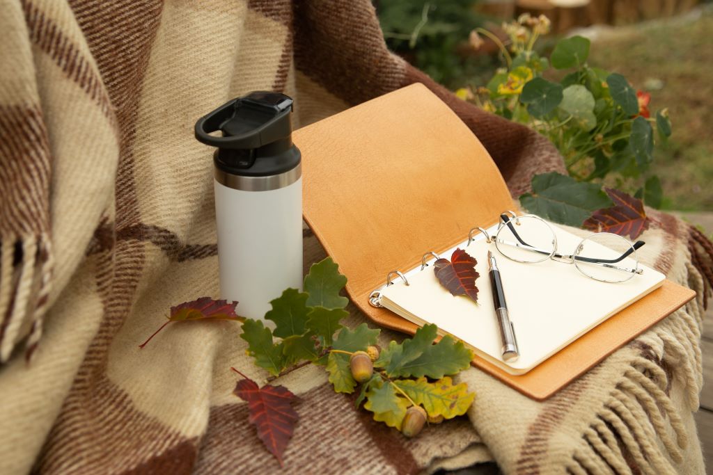 Picnic rug in a woodland