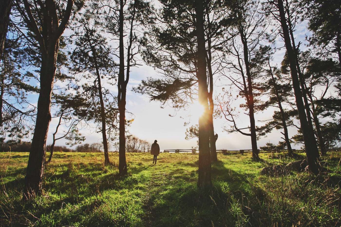 Why I chose a natural burial - JB in Bedfordshire