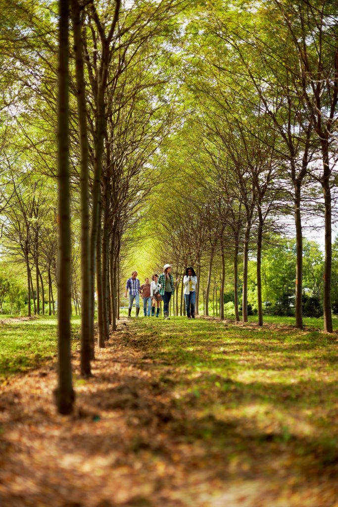 Join the Natural Burial Alliance Join the Natural Burial Alliance